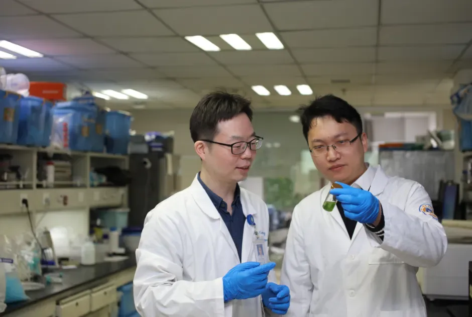 菠菜“返老还童”黑科技?中国团队登Nature,解锁抗衰老新未来! 菠菜“返老还童”黑科技?中国团队登Nature,解锁抗衰老新未来!