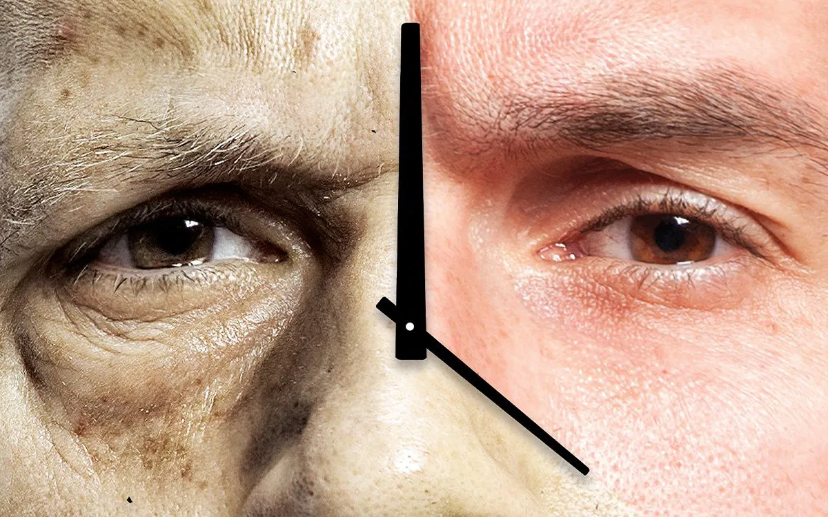 数字分身救不了你，“忒休斯之脑”--肉体永生的关键