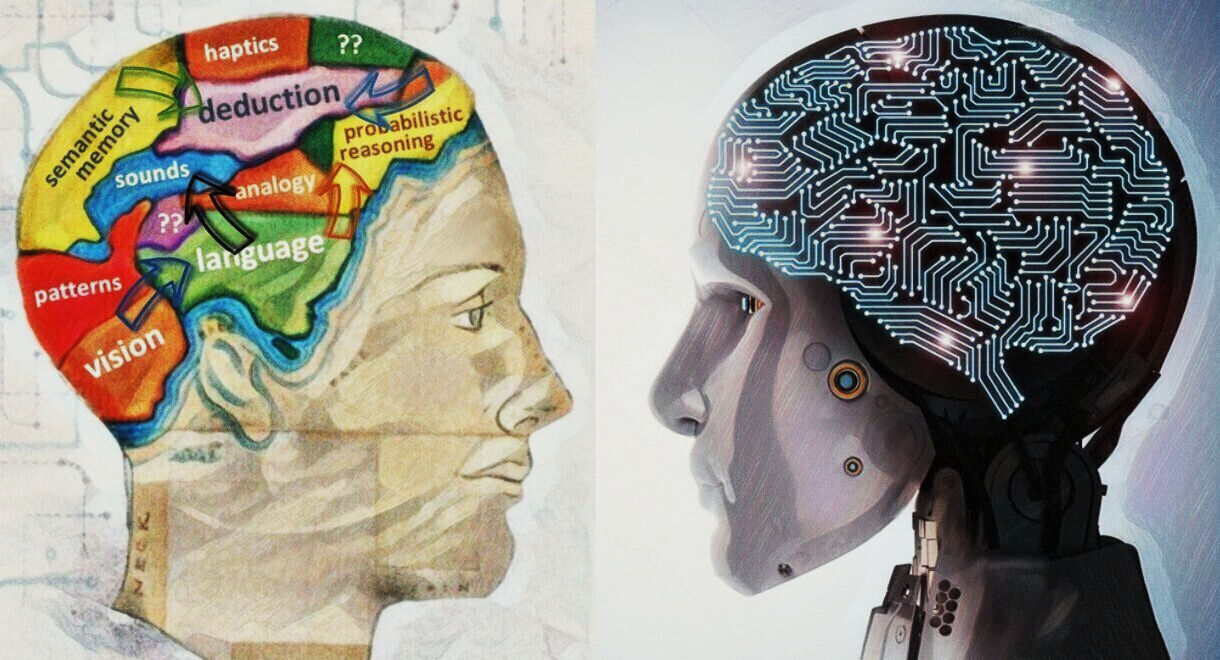 数字分身救不了你，“忒休斯之脑”--肉体永生的关键